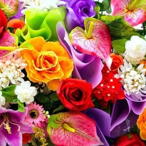 Meet your Posher, Oneida